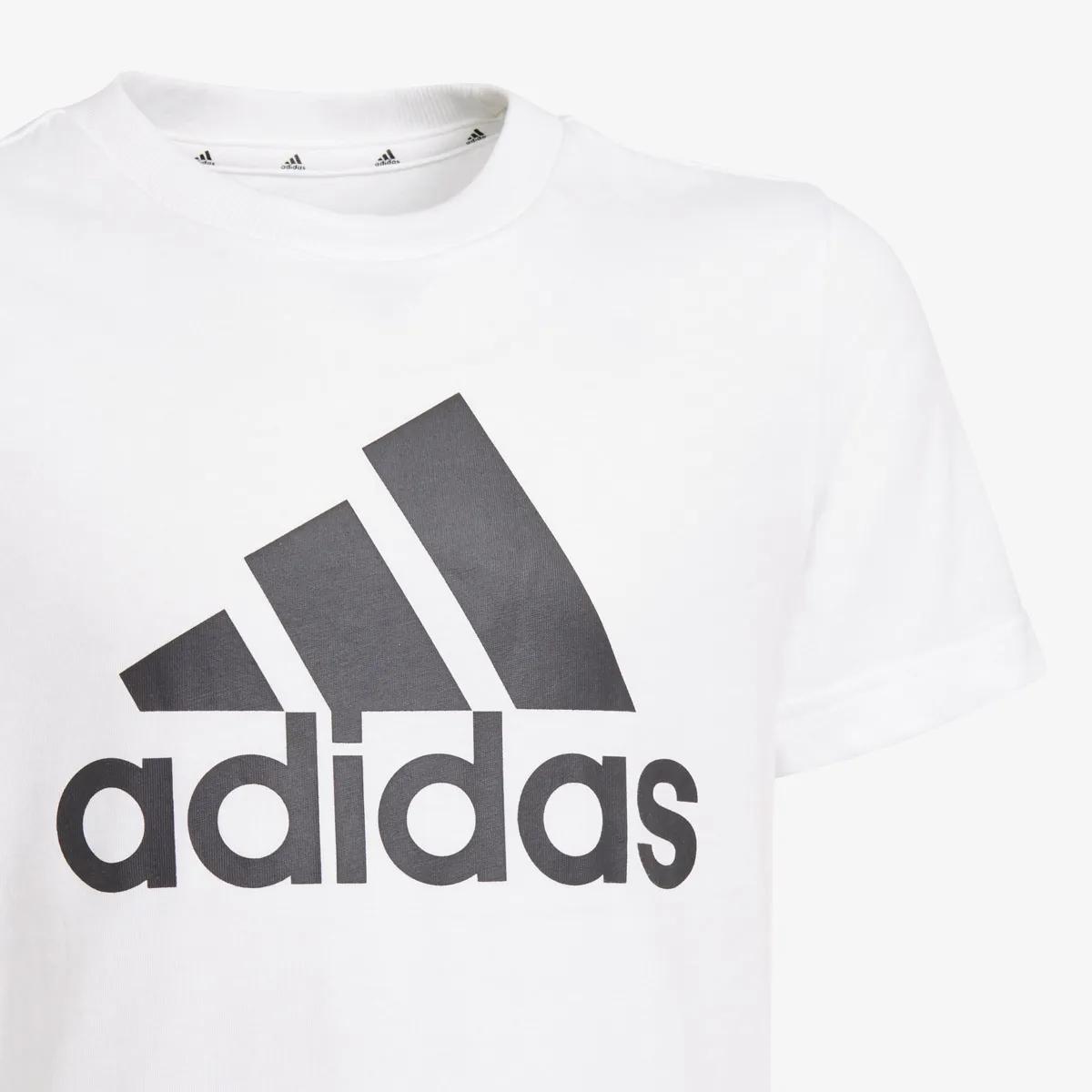 adidas B BL T 